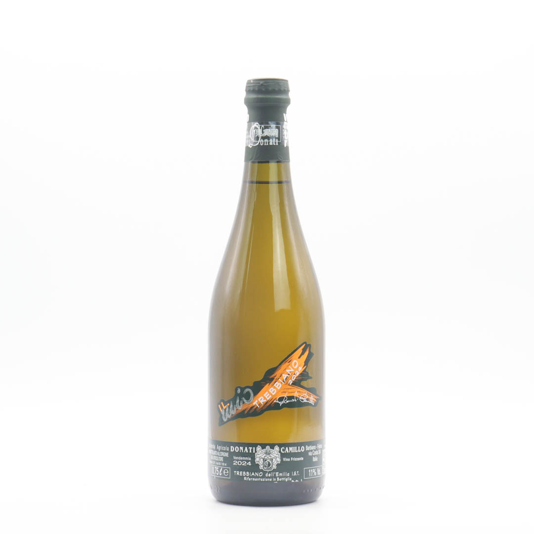 Camillo Donati / Trebbiano Frizzante 2024 (カミッロ ドナーティ / トレッビアーノ フリッザンテ)【白微発泡】