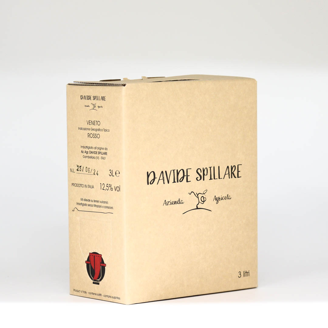 【5/9(金)出荷分～バラ混載可能】Davide Spillare / Rosso Veneto BIB 2023 (L.25/06/24)(3000ml) (ダヴィデ スピッラレ / ロッソ ヴェネト バッグインボックス)【赤】