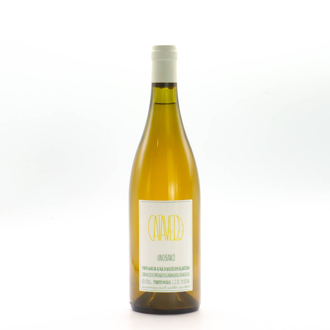 Denavolo / Catavela 2023(L23C) (デナーヴォロ / カタヴェーラ)【白】