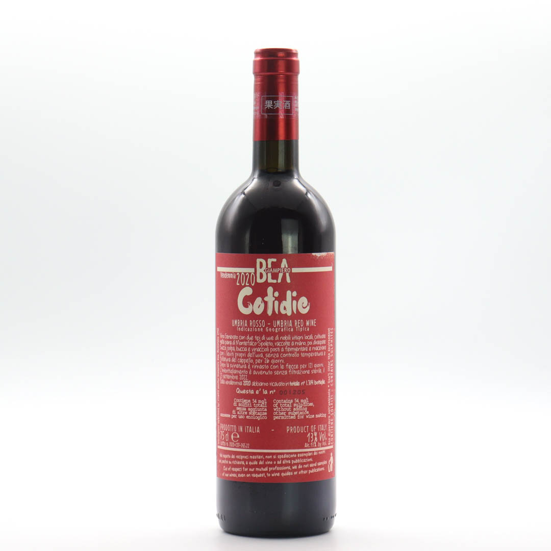 【7月中旬～出荷可能】Paolo Bea(Giampiero Bea) / Cotidie 2020 (パオロ ベア(ジャンピエロ ベア) / コティディエ)【赤】