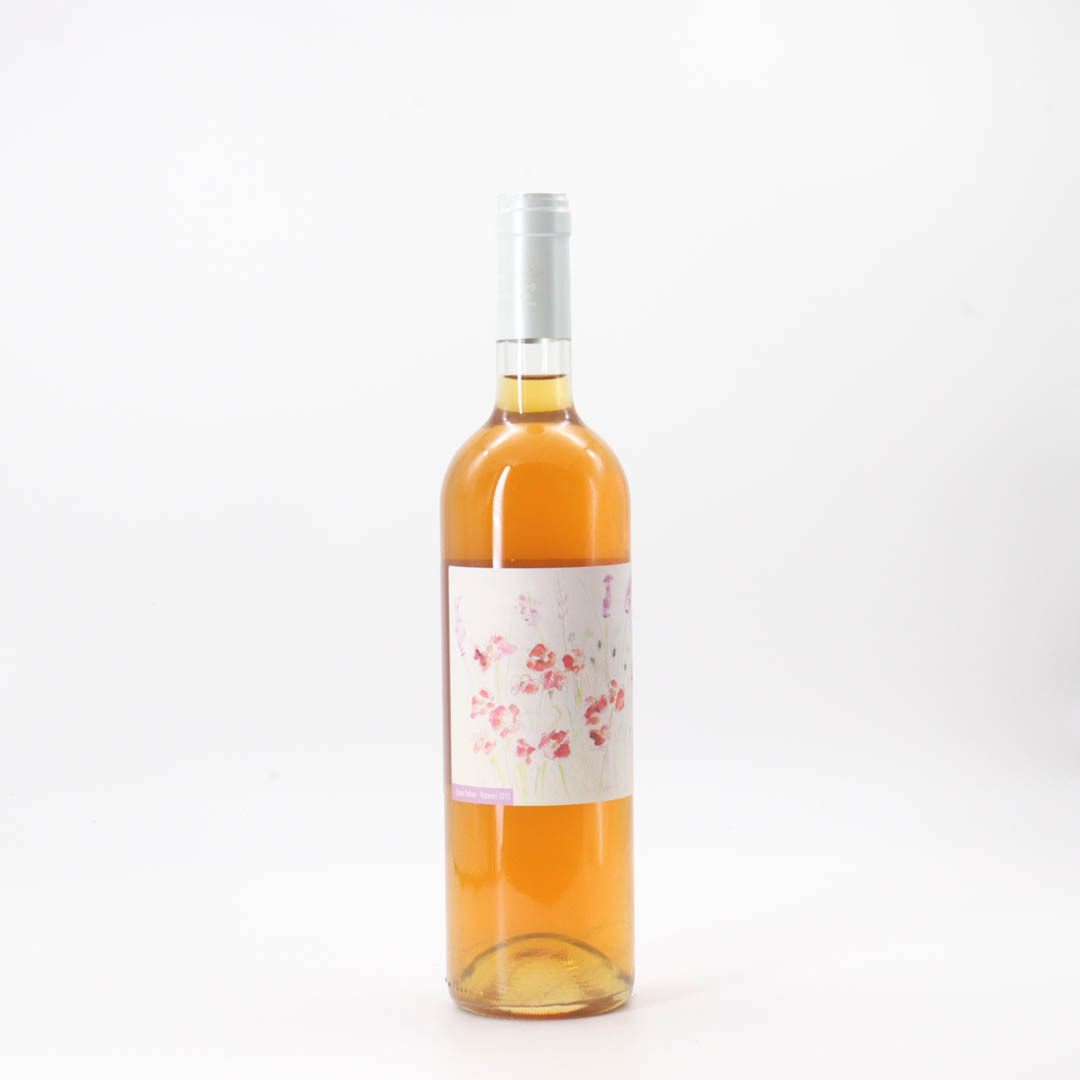 Santa Maria(Colleoni) / Bianco Ansonica 2023 (サンタ マリーア(コッレオーニ) / ビアンコ アンソニカ)【白(醸し)】