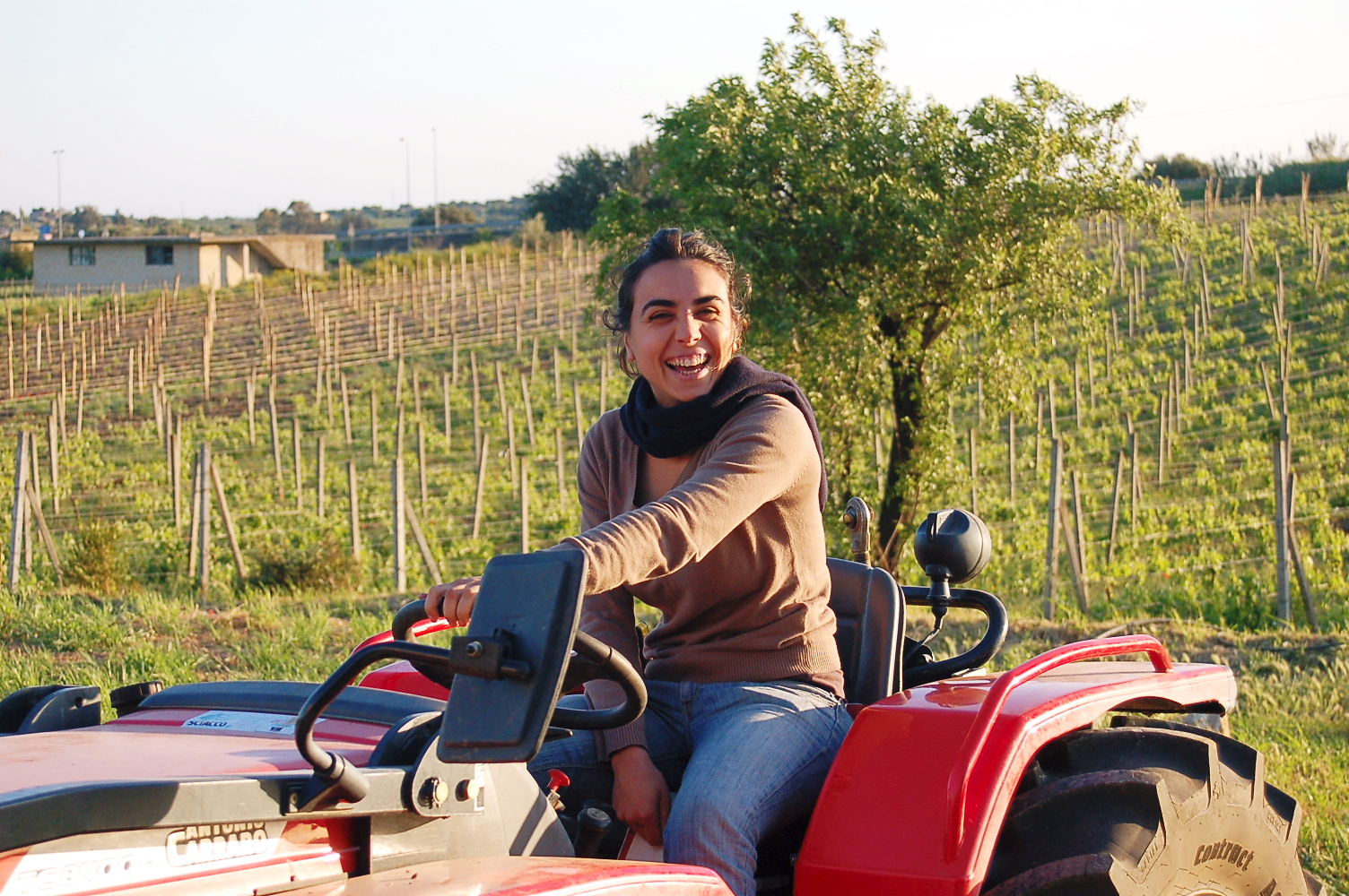 造り手紹介 アリアンナ オッキピンティ その1（2011.11筆） | 株式会社ヴィナイオータ