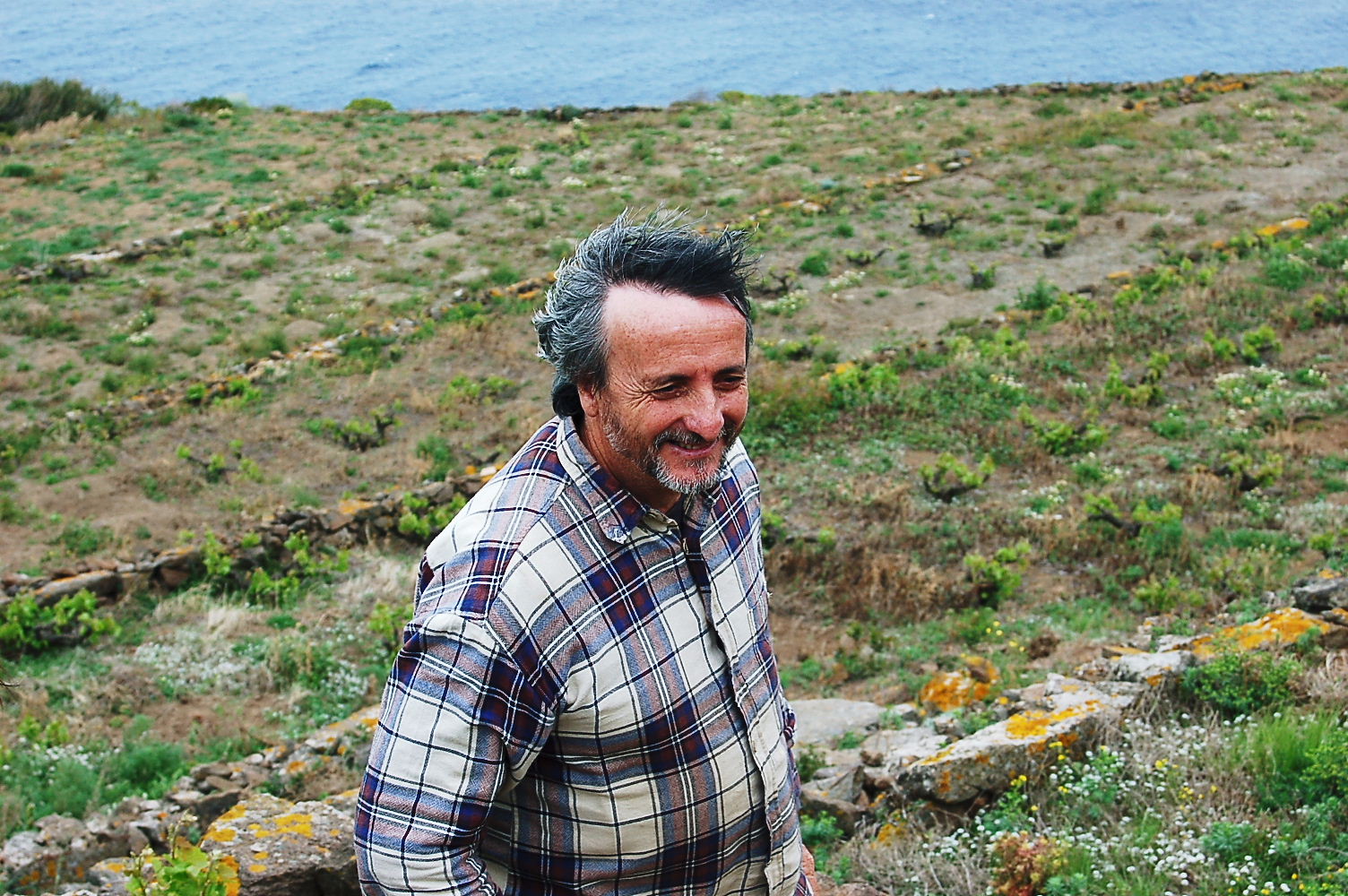 造り手紹介 Ferrandes / フェッランデス 株式会社ヴィナイオータ