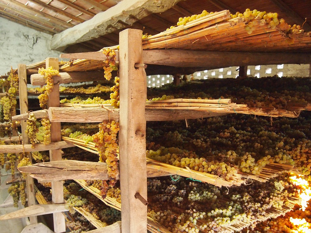 1996年‼︎〉マッサヴェッキア ラ フォンテ ディ ピエトラルサ 1996